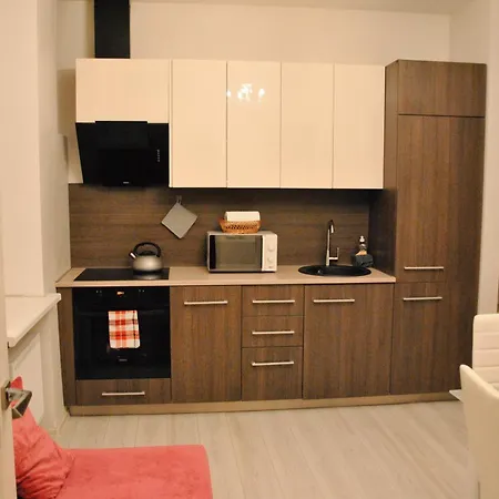 Appartement 2-rooms In The Historical Heart Of *